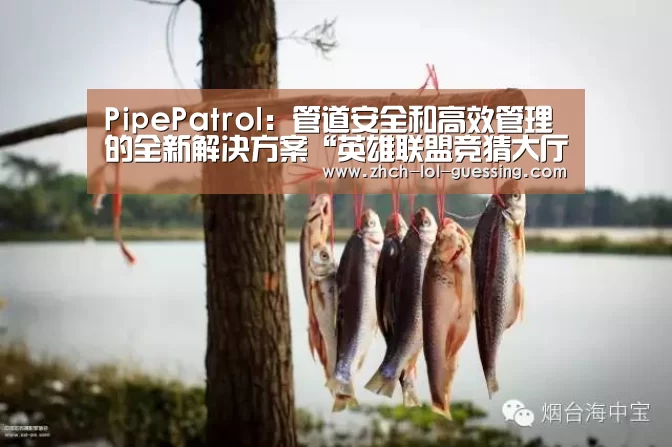 PipePatrol:管道安全和高效管理的全新解决方案“英雄联盟竞猜大厅 ”(图1) LOL全球总决赛下注官方网站