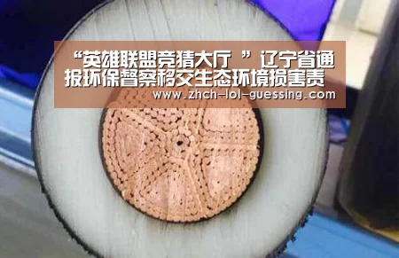 “英雄联盟竞猜大厅 ”辽宁省通报环保督察移交生态环境损害责任追究问题问责情况(图1) 英雄联盟竞猜大厅