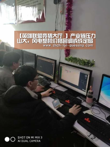 【英雄联盟竞猜大厅 】产业链压力山大,风电整机价格回调或成定局(图2) LOL全球总决赛下注官方网站