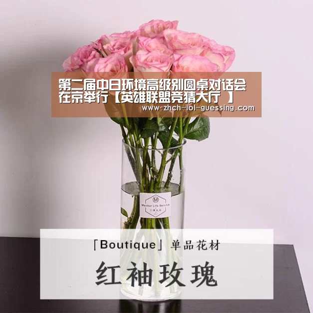第二届中日环境高级别圆桌对话会在京举行【英雄联盟竞猜大厅 】(图3) 英雄联盟竞猜大厅