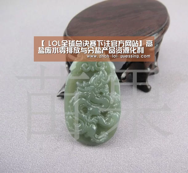 【 LOL全球总决赛下注官方网站】高盐废水零排放与分盐产品资源化利用(乔发)论坛召开(图1) LOL全球总决赛下注官方网站