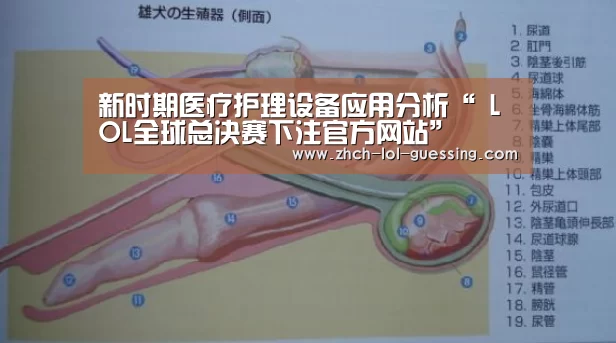 新时期医疗护理设备应用分析“ LOL全球总决赛下注官方网站”(图1) LOL全球总决赛下注官方网站