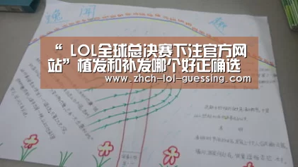 “ LOL全球总决赛下注官方网站”植发和补发哪个好正确选择也很重要(图3) 英雄联盟竞猜大厅