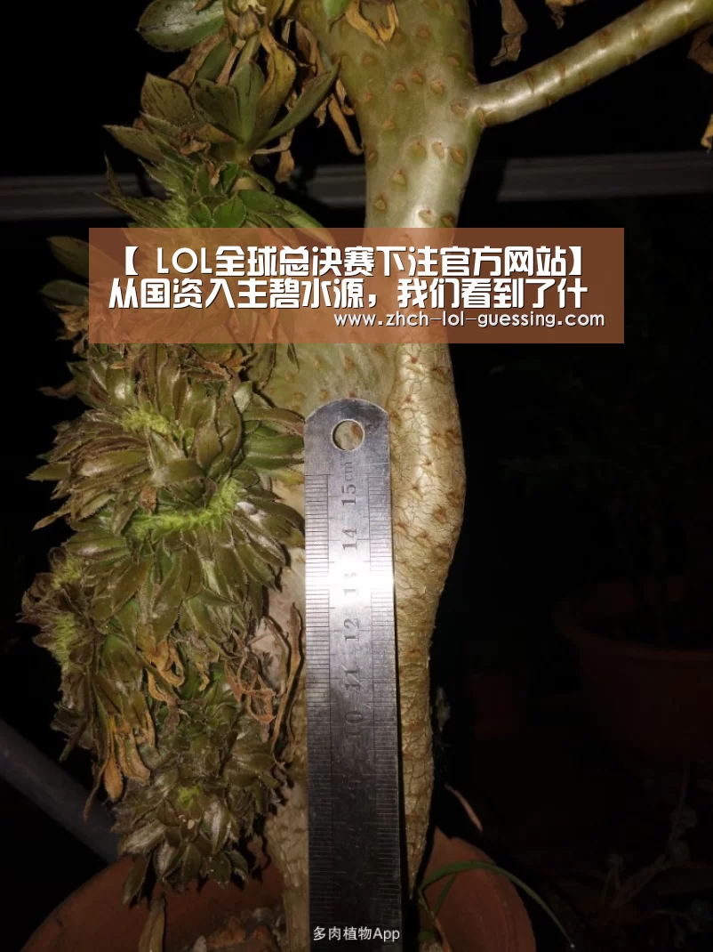 【 LOL全球总决赛下注官方网站】从国资入主碧水源,我们看到了什么?(图1) 英雄联盟竞猜大厅